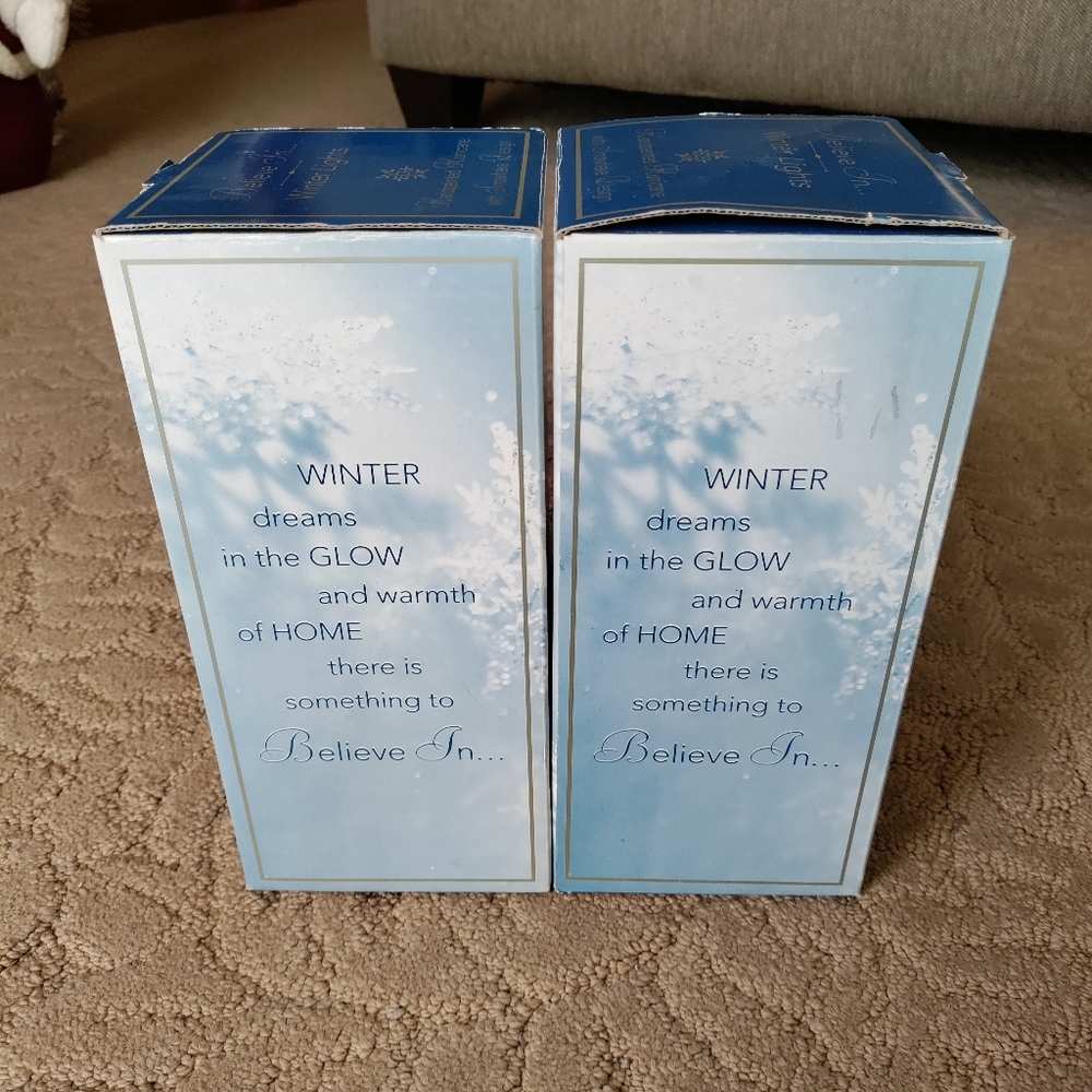 Hand Painted Winter Lights